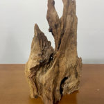 agarwood 383